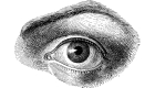 A black and white pencil sketch of an eye 