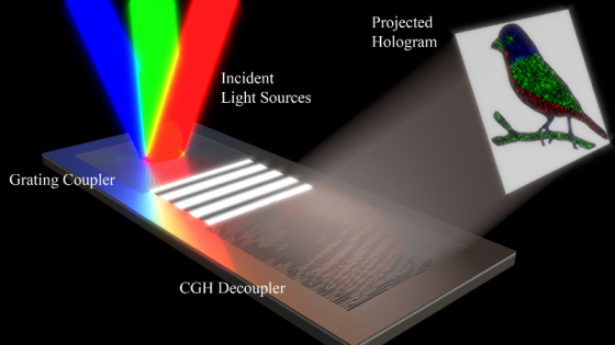 graphic showing red, green and blue light coming into a small, flat device and creating a three-color projection of a bird