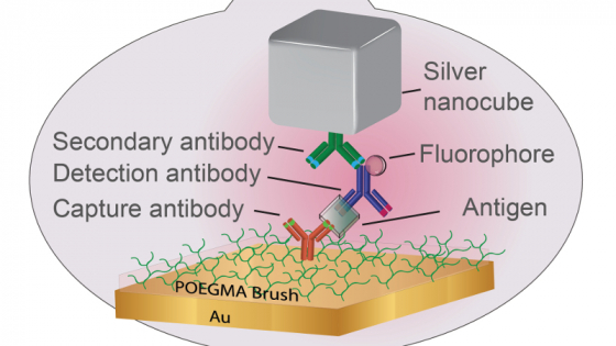 A cartoon graphic of the pieces of a new way to read fluorescent biomarkers 
