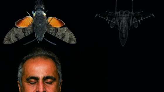 Composition of Vahid Tarokh of Duke University, a moth, and a wireframe image of a fighter jet 