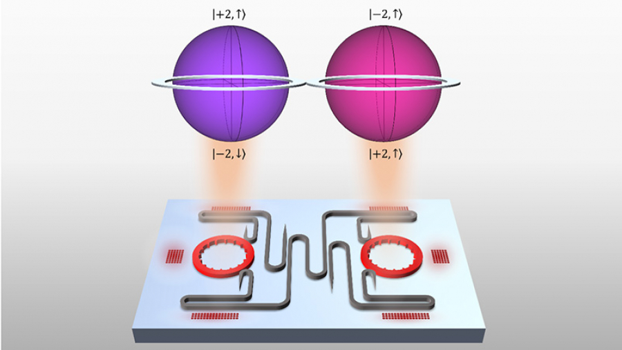 Two circles - one purple one pink - with math notations around them above a microchip layout